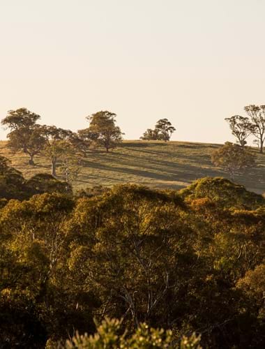 Chamber Landscapes: A Brief History of Time image