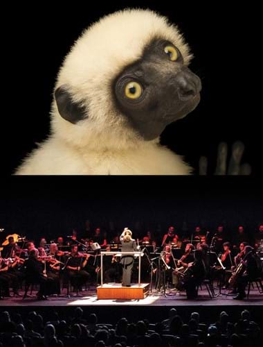 National Geographic: Symphony for Our World image