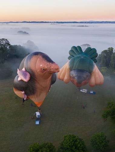 Skywhales: Every heart sings image