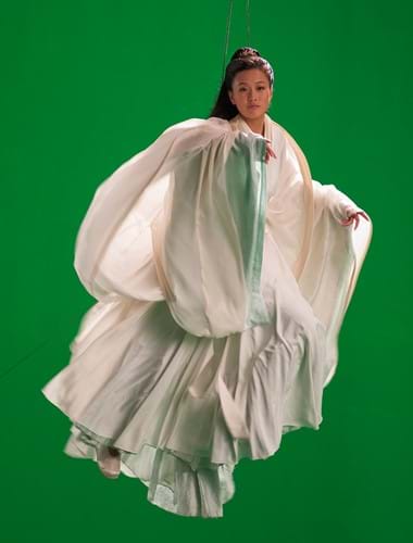 Isaac Julien image