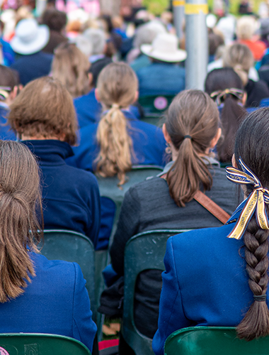 Schools Day image
