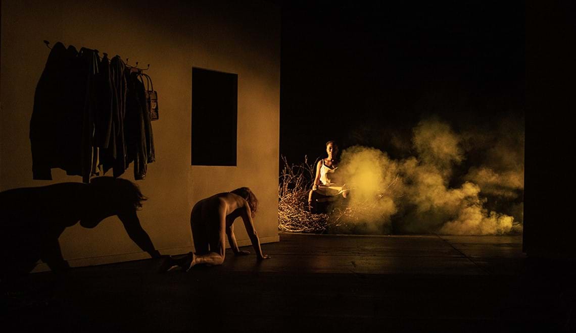 A woman in a darkened room crawls toward another woman who sits in a large nest surrounded by smoke.