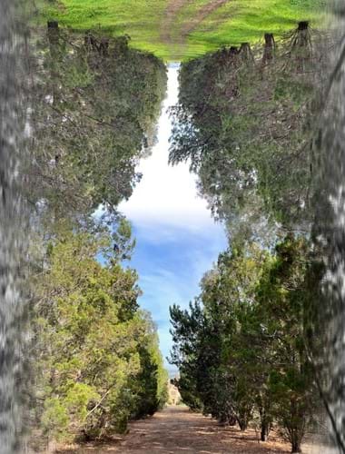 The Taken Path image